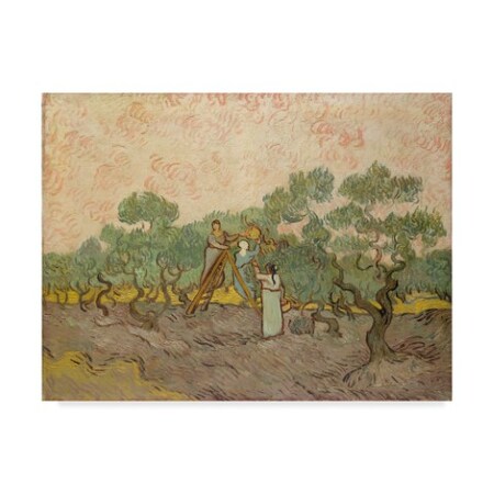 Trademark Fine Art Vincent Van Gogh 'The Olive Pickers Saintremy' Canvas Art, 18x24 BL01924-C1824GG